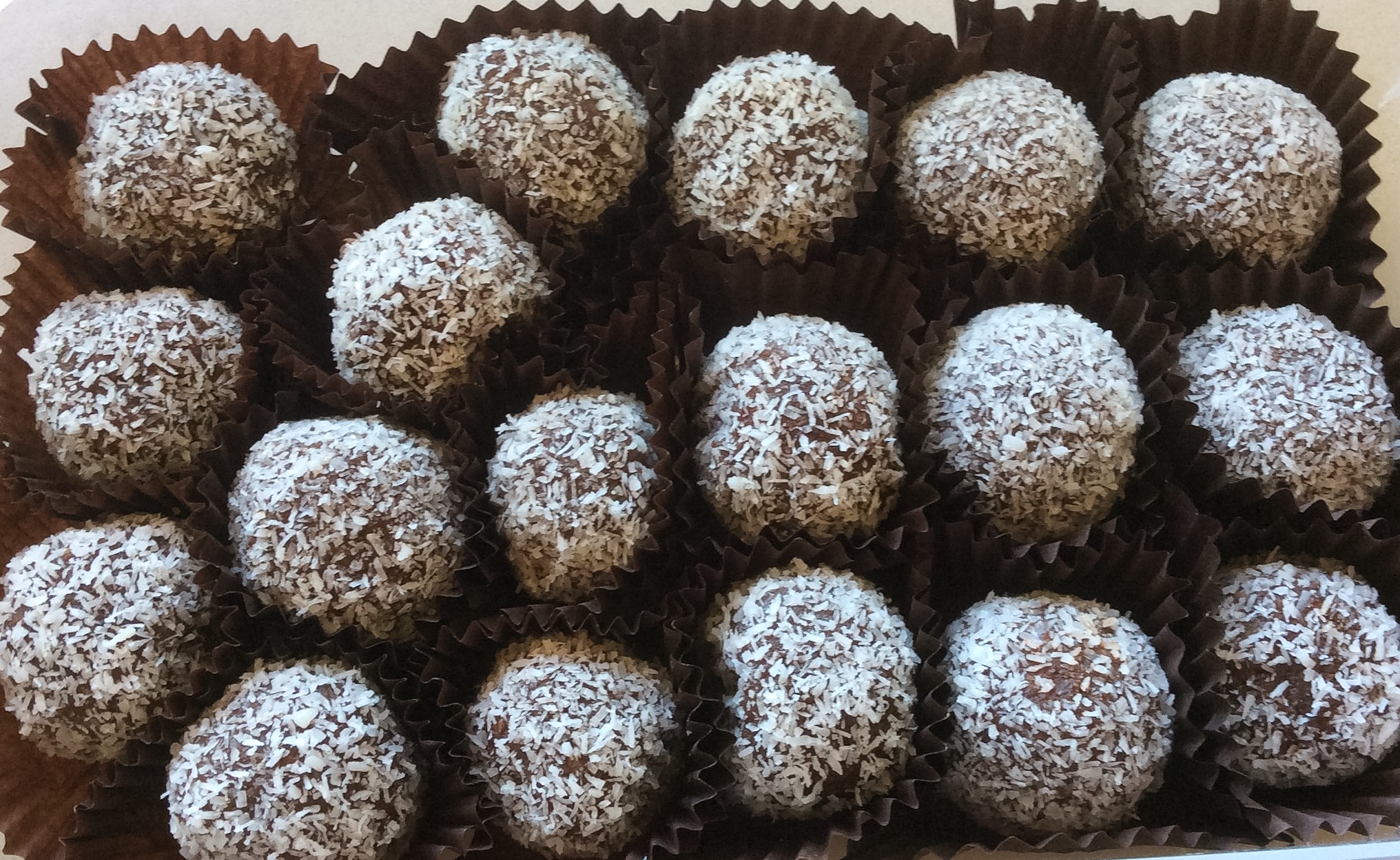 5 Ingredient Chocolate Bliss Balls (Vegan, Nut & Gluten free)